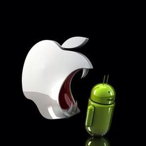 Meet your Posher, Wesley